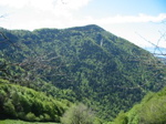 IMG_0011.JPG