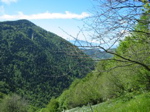 IMG_0012.JPG