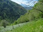 IMG_0013.JPG
