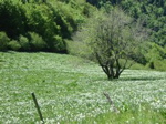 IMG_0014.JPG