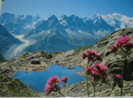 Le lac blanc