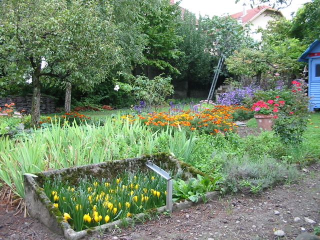 Sept 2006 Jardin de Maryse