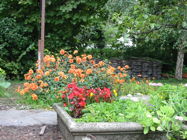 Sept 2006 Jardin de Maryse