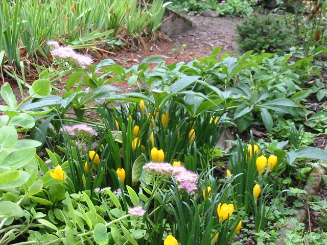 Sept 2006 Jardin de Maryse