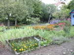 Sept 2006 Jardin de Maryse