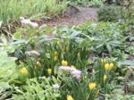 Sept 2006 Jardin de Maryse