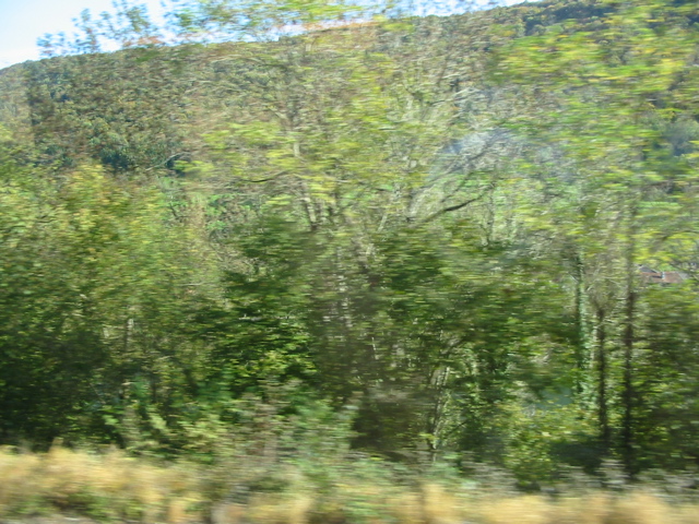 Bords du Doubs depuis le train. - 11