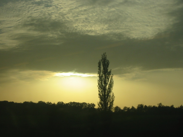 Coucher de soleil depuis le train. - 2