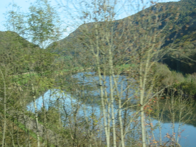 Bords du Doubs depuis le train. - 10