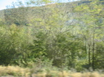 Bords du Doubs depuis le train. - 11
