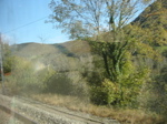 Bords du Doubs depuis le train. - 15