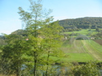 Bords du Doubs depuis le train. - 19