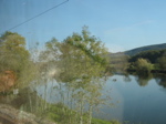 Bords du Doubs depuis le train. - 39