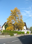 Maison du vieux Mundolsheim