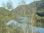 Bords du Doubs depuis le train. - 10